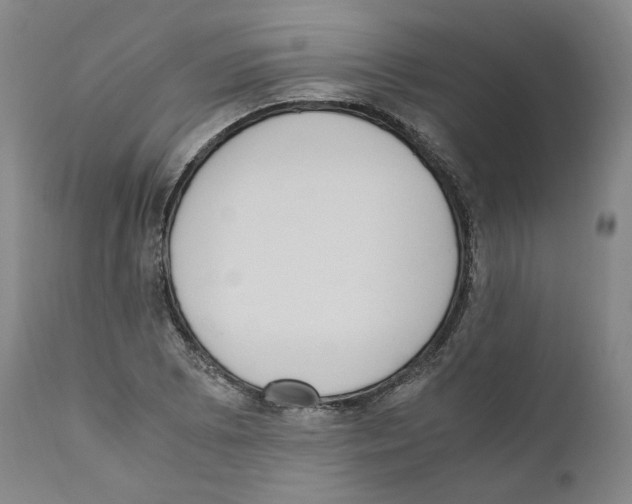 X0000110731073200907101423
