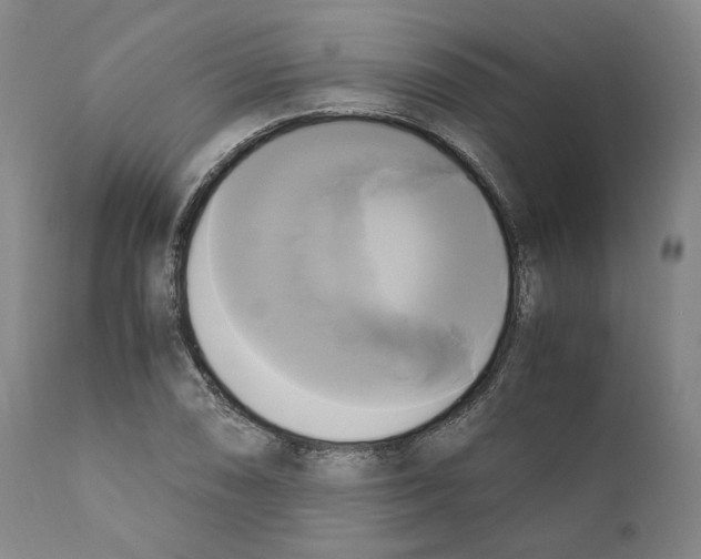 X0000110731074200907101423
