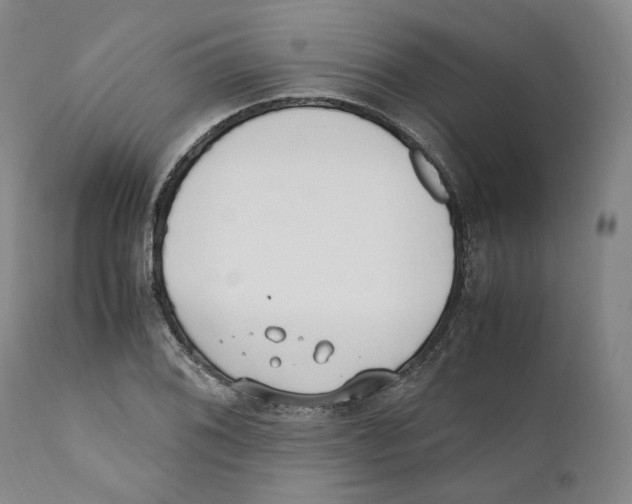 X0000110731076200907101423