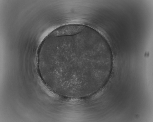 X0000110731077200907101423