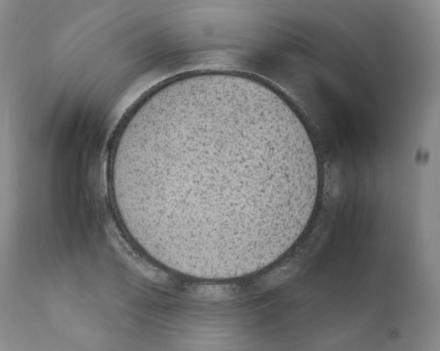 X0000110731078200907101423