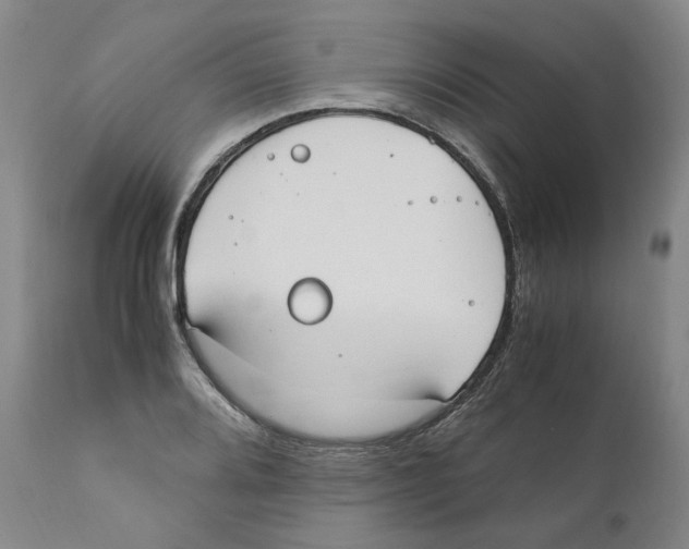 X0000110731080200907101423
