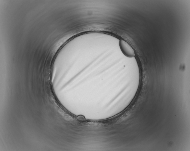 X0000110731081200907101423
