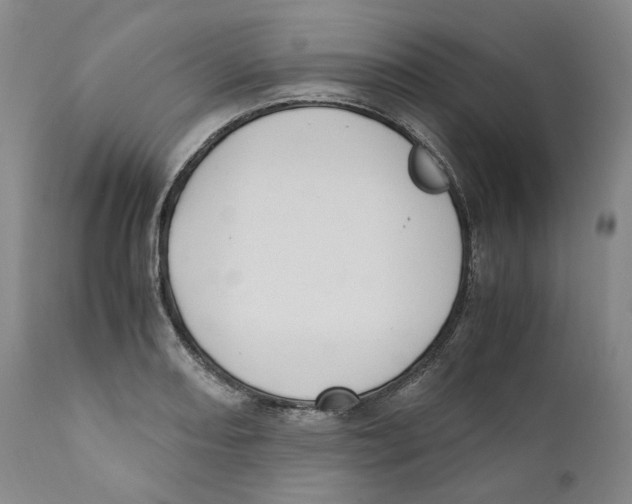 X0000110731082200907101423