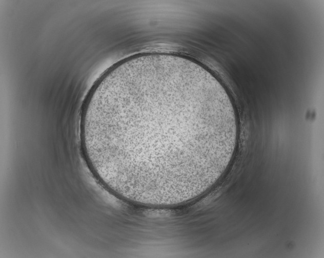 X0000110731083200907101423