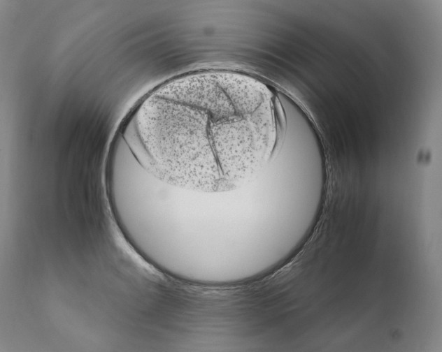 X0000110731084200907101423