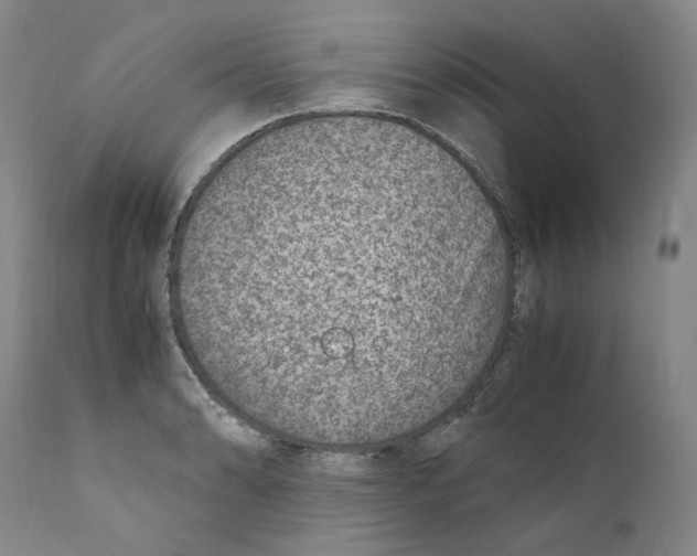 X0000110731086200907101423