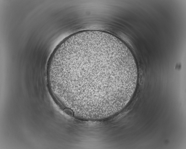 X0000110731087200907101423