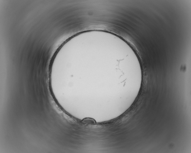 X0000110731088200907101423