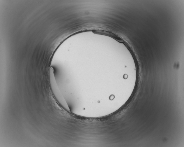 X0000110731089200907101423
