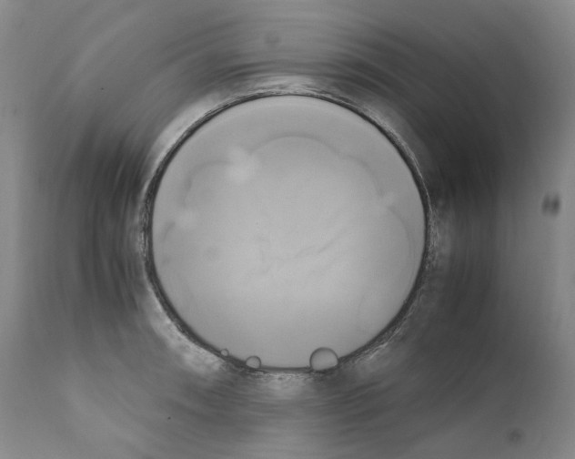 X0000110731090200907101423