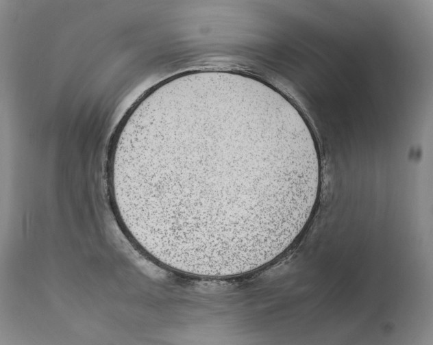X0000110731091200907101423