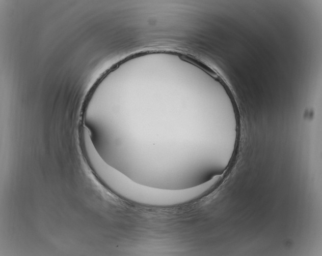 X0000110731093200907101423