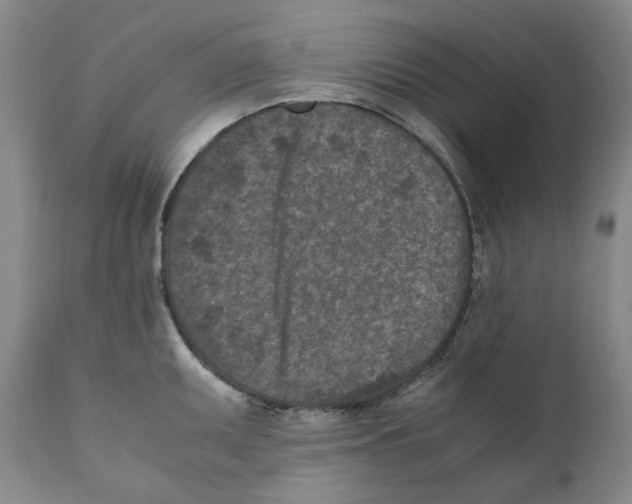 X0000110731095200907101423