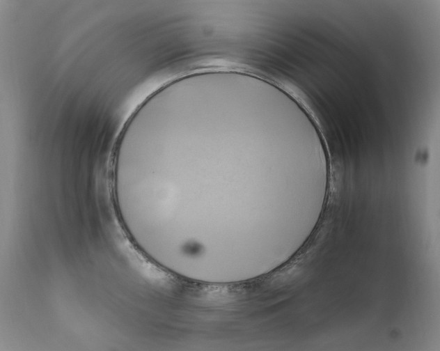 X0000110731098200907101423