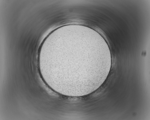 X0000110731099200907101422