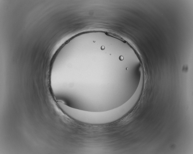 X0000110731101200907101422