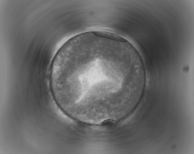 X0000110731102200907101422