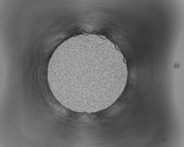 X0000110731105200907101422