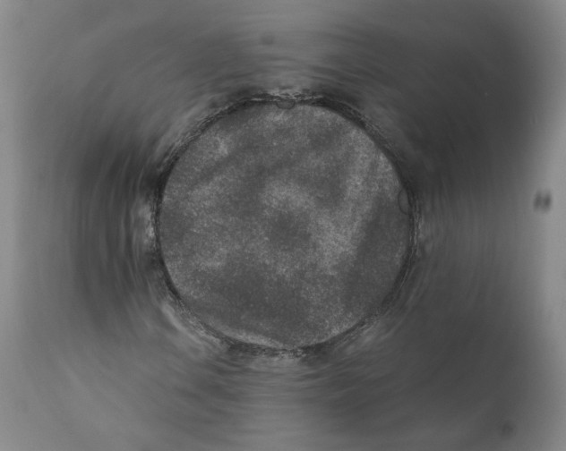 X0000110731106200907101422