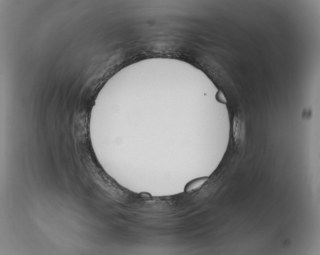 X0000110731107200907101422