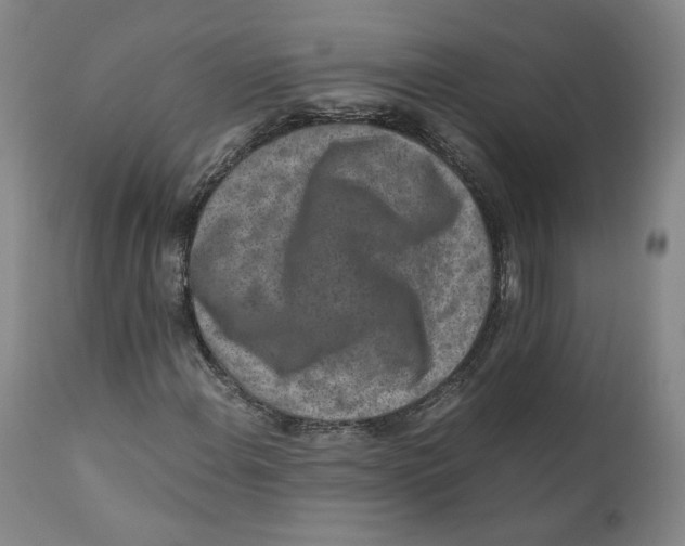 X0000110731108200907101422