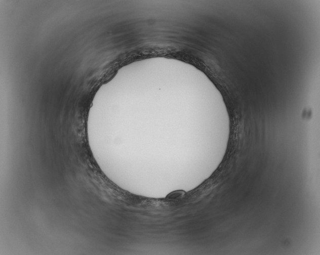 X0000110731109200907101422