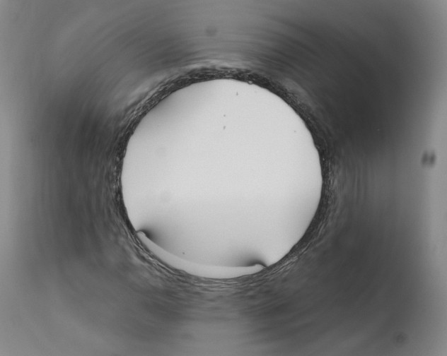 X0000110731110200907101422