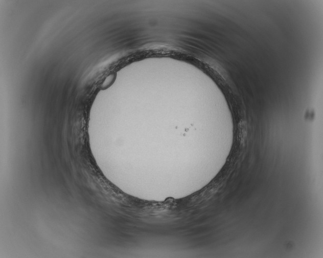 X0000110731111200907101422
