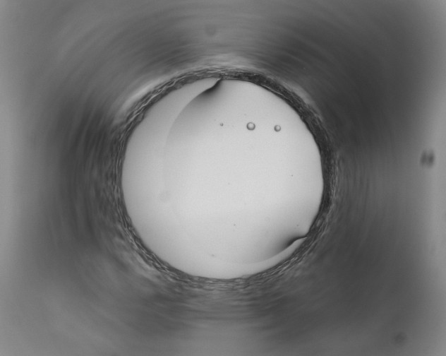 X0000110731112200907101422