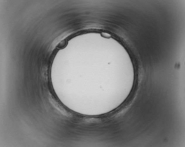 X0000110731113200907101422