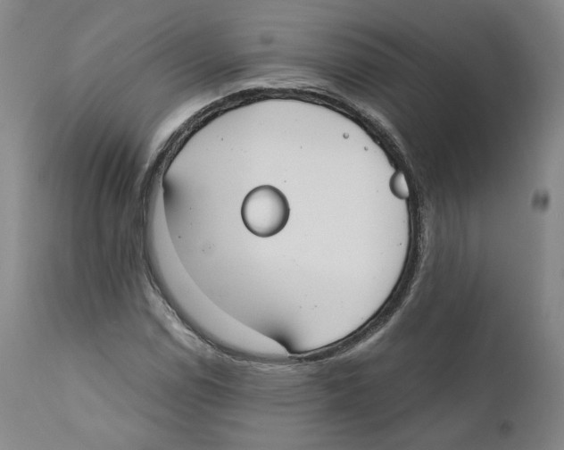 X0000110731114200907101422