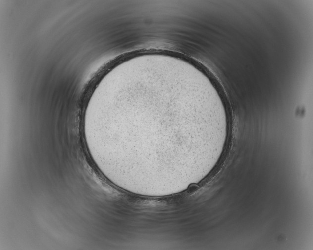 X0000110731115200907101422