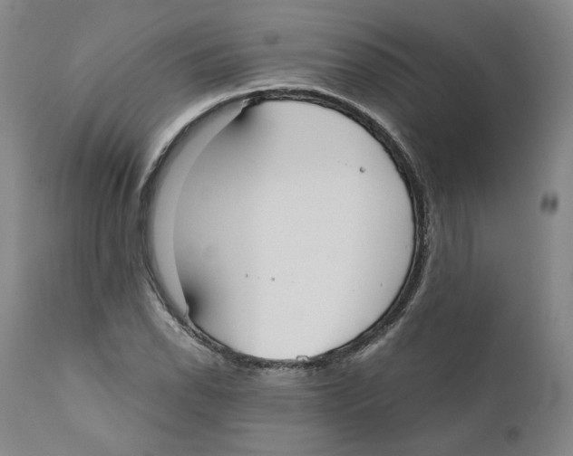 X0000110731118200907101422