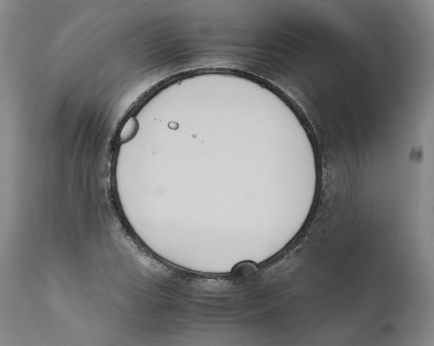 X0000110731119200907101422