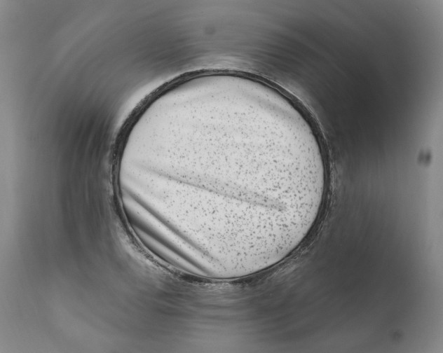 X0000110731120200907101422