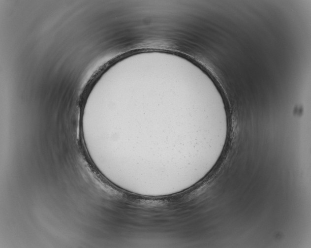 X0000110731123200907101422