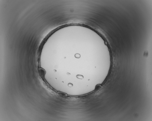 X0000110731124200907101422