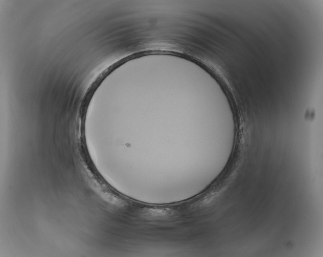 X0000110731125200907101422