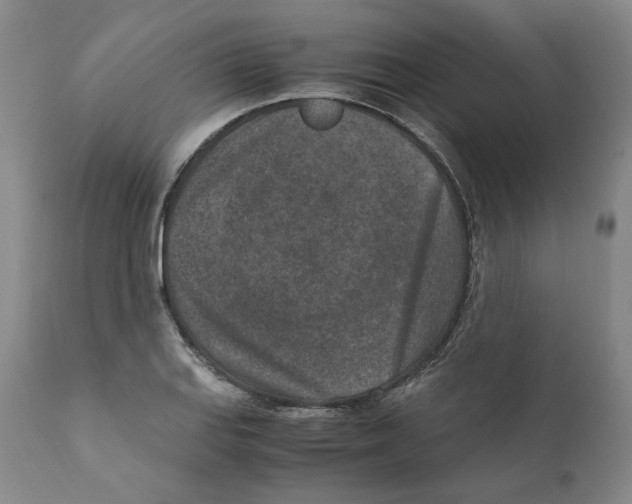 X0000110731127200907101422