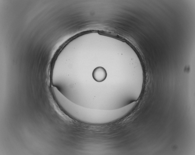 X0000110731128200907101422