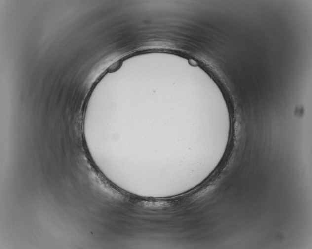 X0000110731129200907101422