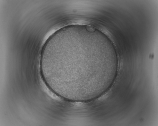 X0000110731130200907101422