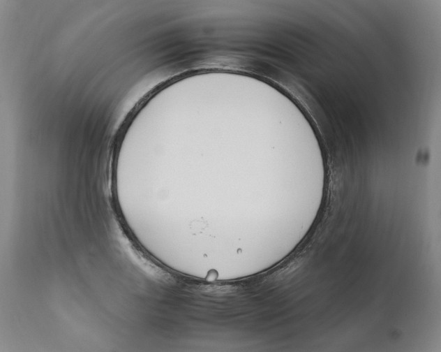 X0000110731131200907101422