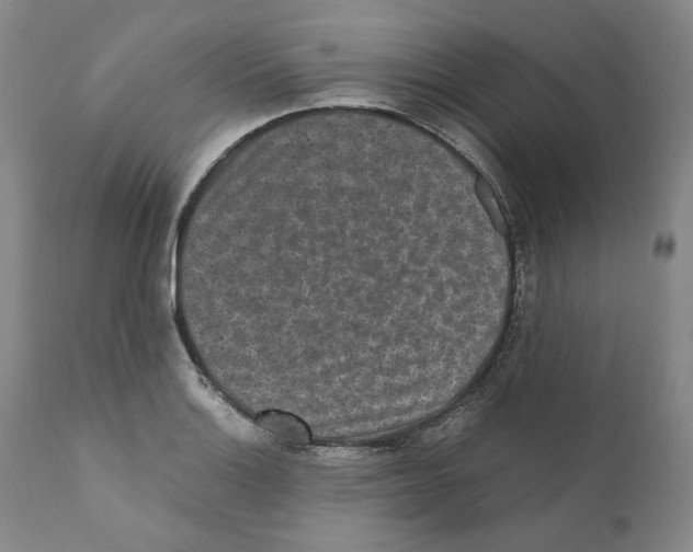 X0000110731132200907101422
