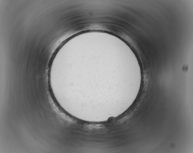 X0000110731133200907101422