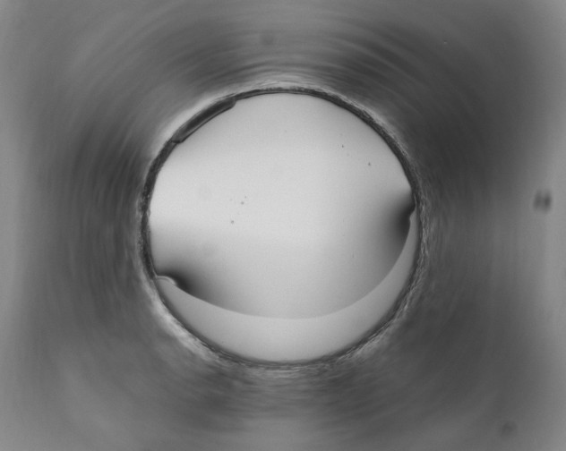 X0000110731134200907101422