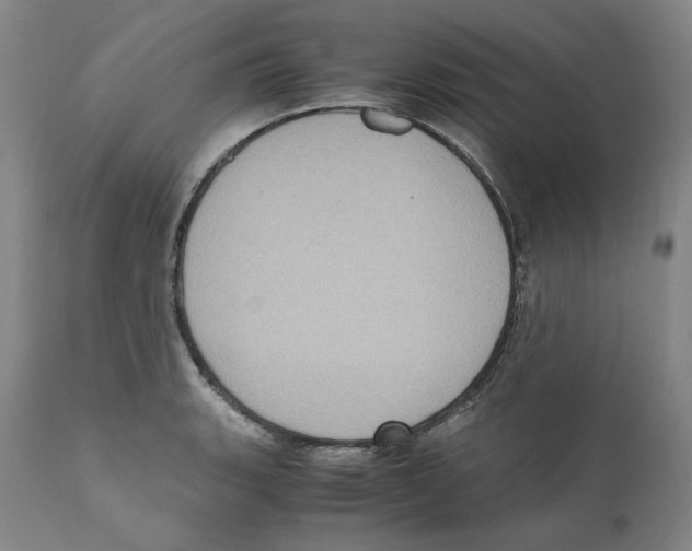 X0000110731135200907101422