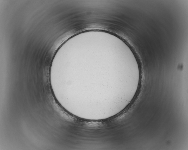 X0000110731137200907101422