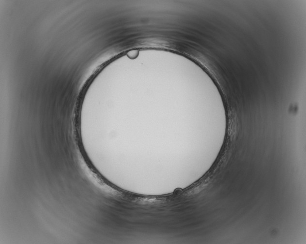 X0000110731139200907101422